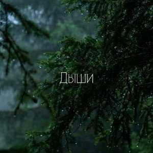 кавер(E.l.z.b.t)Ваня Дмитриенко Дыши