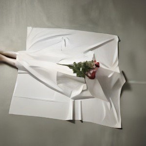 BOUND TO THE SHEETS