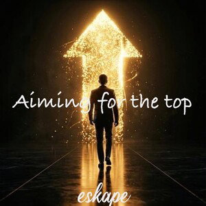 Aiming for the top 