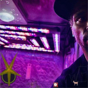 I'm lit, what the fuck,& these p’s still on”ÐïǐĊĶ“-Wang,Çųřþ