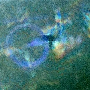 starmiseryplanet