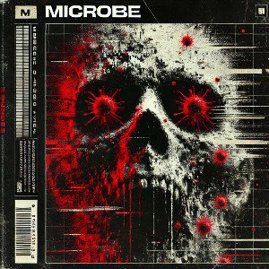 MICKROB - HES