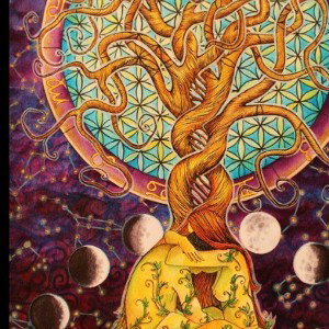 plant a seed 