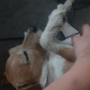 Ein bisschen Zeit 