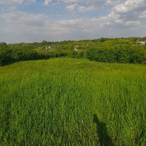 Traurige Welt