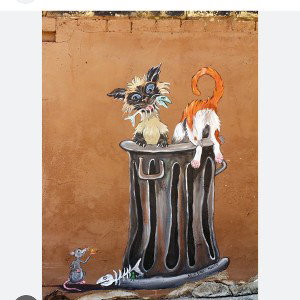 alley cat