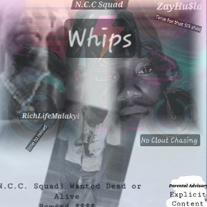 Whips by Richlifemalakyi & ZayHu$la