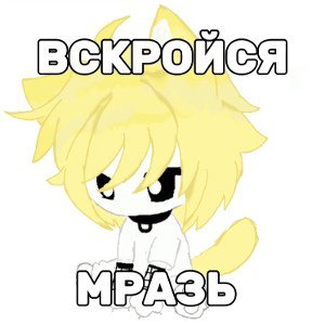 Мне Похуй