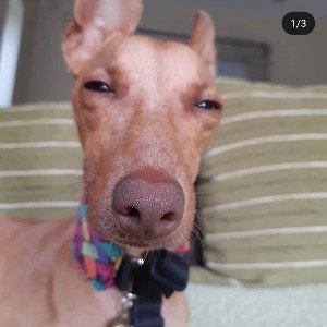 hola👋