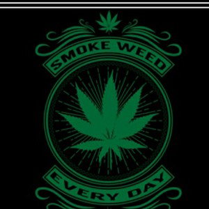 smoke weed everyday