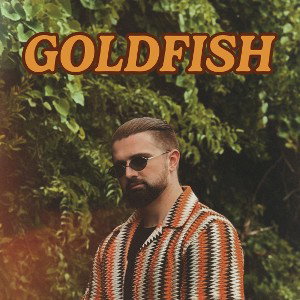 GOLDFISH (offtop freestyle)