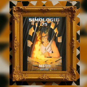                         MEDS - simologie 75