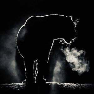 mAydın - UNDERGROUND