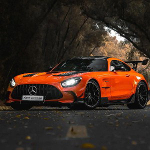 LS 