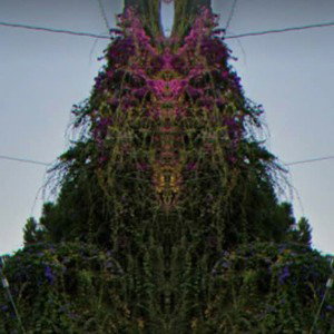 mother Nature