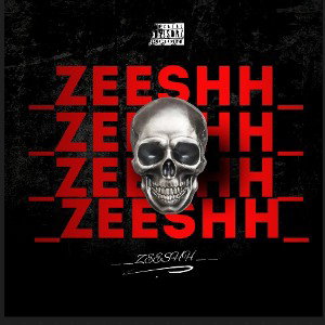 ZEESHH || DISS TRACK ON CHITZ   || FUCK ROLEX||