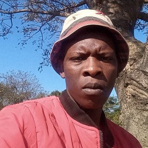 istayela sika dash