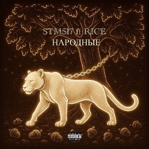 STM517 ft RICE - народные 