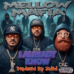 I Already Know- Mellow Mafia