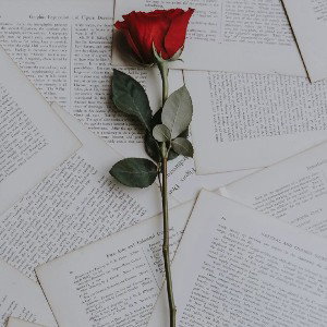 LOVE 