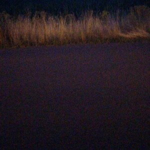 CRASH