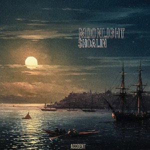 $Hoalin   -moonlight-