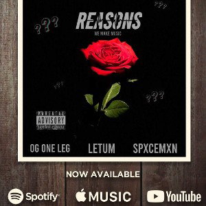 Reasons  We Make Music 