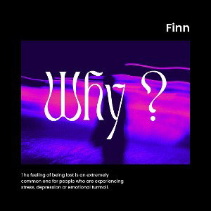 Finn - POURQUOI ?