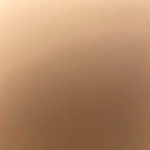 LS.2025- CANCELLED THORNS ALBUM