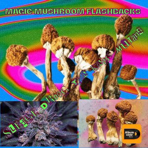Magic Mushroom Flashbacks
