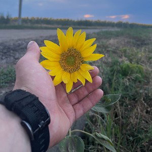 Sam-По-любому полюбовно 