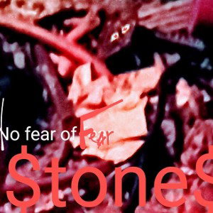 no fear of fear