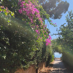 μιλά μονάχα η καρδιά 💓