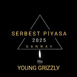 SERBEST PİYASA