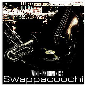 Knocking On The Door (Dikc Knokcin) by The Swappacoochi Tribe