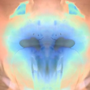 Glyp:contest