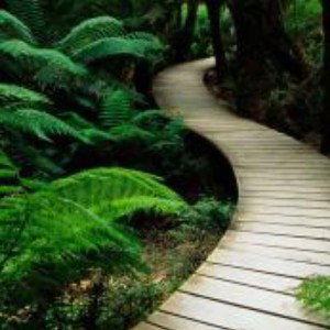 Whispers echo from the realm of dreams 
