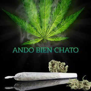 🎼Ando Bien Chato🎼