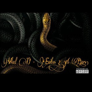 Vlad D - Real Rap