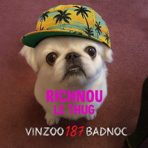  Vinzoo/Badnoc - Richnouu 