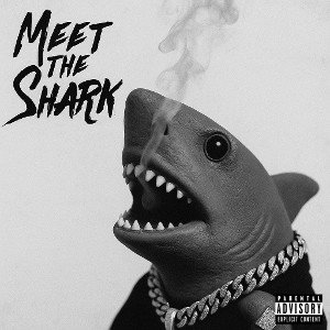 Sharkmobile 3000