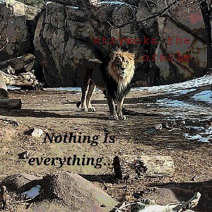 nothing is everything.. 