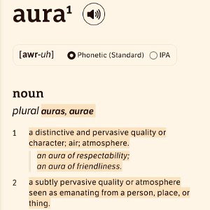 SlangZilla - AURA‼️