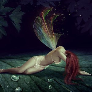 Fairy