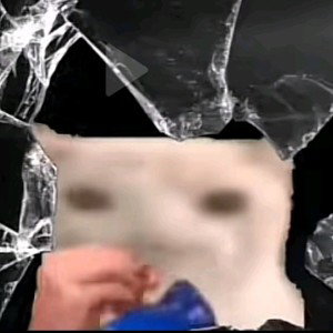 fetter hurensohn lied