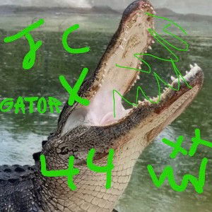 Gator