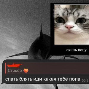 Message 
