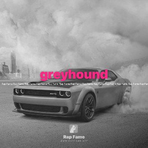 greyhound