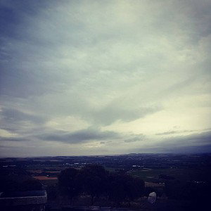 Barossa Views 