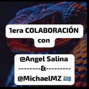 1era COLABORACIÓN con Angel Salina